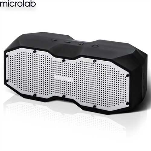 Loa Microlab D25 2